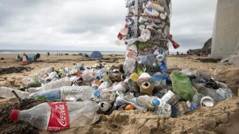 Die Verschmutzung der Meere: ein zentrales Thema für Getränkehersteller. ©picture alliance/empics/Emily Whitfield-Wicks