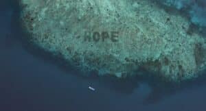 Das „Hope Reef“ gewann einen Grand Prix in Cannes in der Kategorie „Media“. Ein Korallenriff vor Indonesien wurde seit 2019 renaturiert, so dass der aus der Luft sichtbare Schriftzug „Hope“ entstand. © Sheba