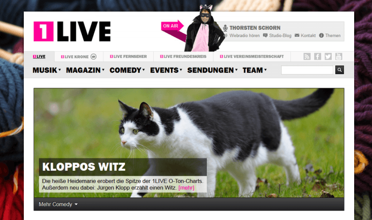 Screenshot www.einslive.de